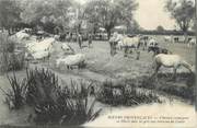 13 Bouch Du Rhone / CPA FRANCE 13 "Chevaux camargues en liberté dans les prés aux environs de Cailar"