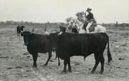 13 Bouch Du Rhone / CARTE PHOTO FRANCE 13 "Manade de Taureaux en Camargue"