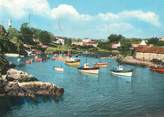 29 Finistere / CPSM FRANCE 29 "Doelan, le port, bateaux au repos"