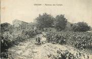 13 Bouch Du Rhone / CPA FRANCE 13 "Cazan, hameau des Carlats"