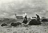 29 Finistere / CPSM FRANCE 29 "Saint Guenolé Penmarch, récolte du Goëmon"