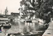 29 Finistere / CPSM FRANCE 29 "Le port de Sainte Marine"