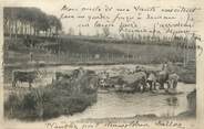 23 Creuse / CPA FRANCE 23 "Les bords de la Creuse, vaches à l'abreuvoir" / FOLKLORE