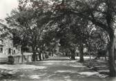 84 Vaucluse / CPSM FRANCE 84 "Sault de Vaucluse, la promenade"