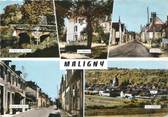 89 Yonne / CPSM FRANCE 89 " Maligny "