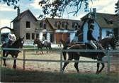 89 Yonne / CPSM FRANCE 89 "Haras de Villechétive"