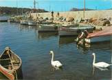 83 Var / CPA FRANCE 83 "Le Brusc, les cygnes dans le port"