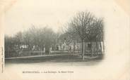 37 Indre Et Loire .CPA FRANCE 37 "Bourgueil, Le collège, le Mail Orye"