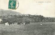 74 Haute Savoie CPA FRANCE 74 "Burdignin, vue générale"