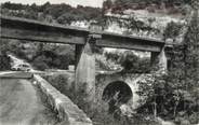 74 Haute Savoie .CPSM  FRANCE 74 " Douattes, Le pont"