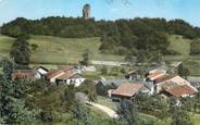 74 Haute Savoie .CPSM  FRANCE 74 " Langin, les granges et la tour"/USAGE TARDIF