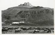 74 Haute Savoie .CPSM  FRANCE 74 "Thollon, Les chalets des Mémises"