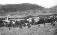 74 Haute Savoie .CPSM  FRANCE 74 "  Habère Poche, Vue générale  "