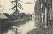 37 Indre Et Loire .CPA  FRANCE 37 "Bourgueil, Les bords du Changeon"