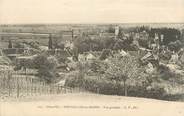 21 Cote D'or .CPA   FRANCE 21 "Pontailler sur Saone, Vue générale"