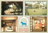 76 Seine Maritime CPSM FRANCE 76 "Limesy, Centre Equestre des Pommerolles"