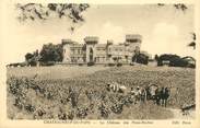 84 Vaucluse .CPA FRANCE 84 " Châteauneuf du Pape, Le château des fines roches"