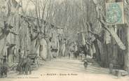 84 Vaucluse .CPA  FRANCE 84 " Mazan, Avenue de Pernes"