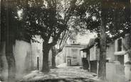 84 Vaucluse .CPSM   FRANCE 84 "Puyvert, Avenue et Mairie"