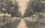 89 Yonne .CPA  FRANCE 89 "Thury, Les promenades"