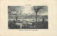 84 Vaucluse .CPA  FRANCE 84 " Avignon, Moutons au pâturage"
