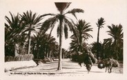Tunisie CPA TUNISIE "Gabès, Route de Sfax dans l'Oasis"