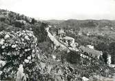 06 Alpe Maritime CPSM FRANCE 06 " Mougins, Vue prise de l'Hôtel La Pax".