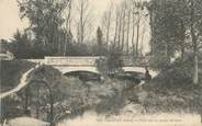 38 Isere CPA FRANCE 38 " Chanas, Pont sur la petite rivière".