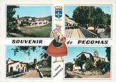 06 Alpe Maritime CPSM FRANCE 06 "Pégomas, Vues".