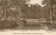 89 Yonne CPA FRANCE 89 " Perreux, Château de Montigny, les petits étangs".