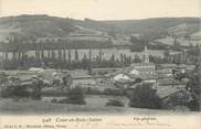 38 Isere CPA FRANCE 38 " Cour et Buis, Vue générale"