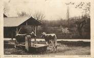 38 Isere CPA FRANCE 38 " Leyrieu, Abreuvoir et route de Crémieu à La Balme"