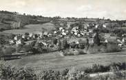 38 Isere CPSM FRANCE 38 " Panossas, Vue générale"