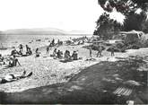 83 Var CPSM FRANCE 83 "Grimaud, Plage du Camping des Mures Domaine Rolland"