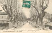 84 Vaucluse CPA FRANCE 84 " Le Thor, Avenue de Thouzon"