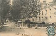 89 Yonne CPA FRANCE 89 " St Fargeau, L'avenue et les écoles"