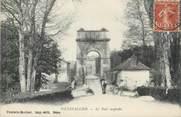 89 Yonne CPA FRANCE 89 " Villevallier, Le pont suspendu"