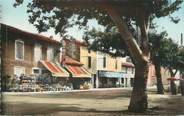 84 Vaucluse CPSM FRANCE 84 "Lapalud, Cours des Platanes'