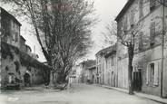 84 Vaucluse CPSM FRANCE 84 "Cucuron, Avenue de Vaugines"