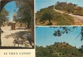 83 Var CPSM FRANCE 83 " Le Cannet, Vues"