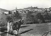 69 RhÔne CPSM FRANCE 69 " Villechenève, Vue générale"