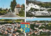 38 Isere CPSM FRANCE 38 " Montalieu , Vues"