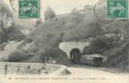 73 Savoie CPA FRANCE 73 " Les Gorges de Chailles"