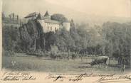 73 Savoie CPA FRANCE 73 " St Hélène des Milières, Le château"