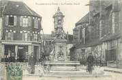 89 Yonne CPA FRANCE 89 " Villeneuve sur Yonne, La Fontaine Briard"