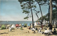 17 Charente Maritime / CPSM FRANCE 17 "Ronce les Bains, la forêt et la plage de la Cêpe"