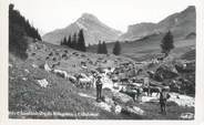 73 Savoie CPSM FRANCE 73 " Roselend, Le troupeau à l'abreuvoir"