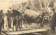 83 Var CPA FRANCE 83 " Barjols, Fête des Tripettes de St Marcel, Rotissage du boeuf"