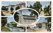 85 Vendee CPSM FRANCE 85 "Chaille les Marais"