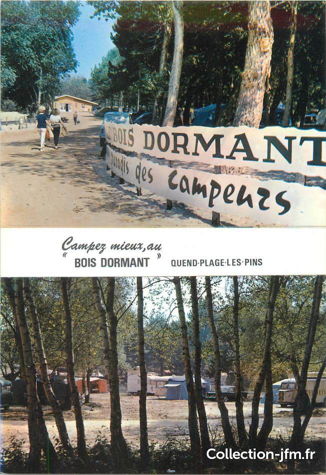 Cpsm France 80 Quend Plage Les Pins Camping Le Bois